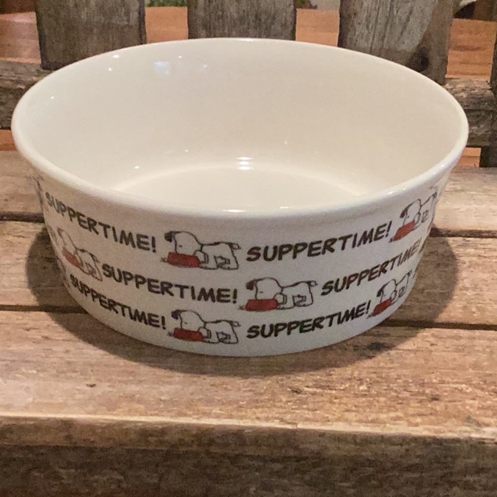 Peanuts Snoopy Suppertime Pet Bowl